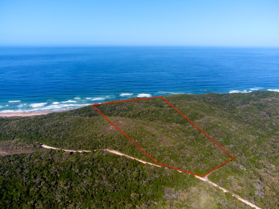 Commercial Property for Sale in Sedgefield Rural Western Cape